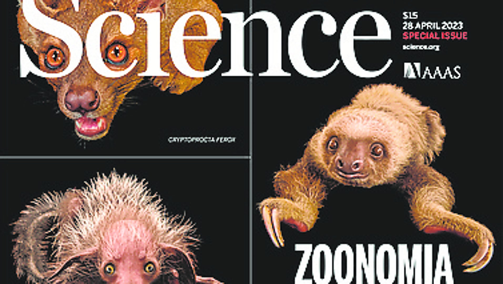 Los mamíferos y el Proyecto Zoonomía La Verdad